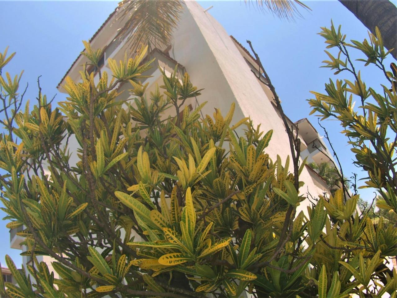 Suites Las Palmas Hotel Y Villas Manzanillo Exterior foto