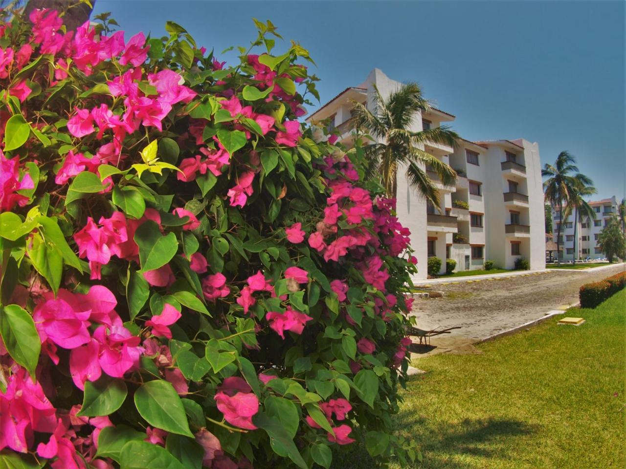 Suites Las Palmas Hotel Y Villas Manzanillo Exterior foto